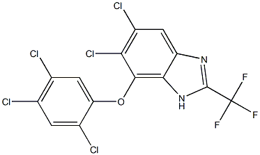 5,6-Dichloro-7-(2,4,5-trichlorophenoxy)-2-trifluoromethyl-1H-benzimidazole Struktur