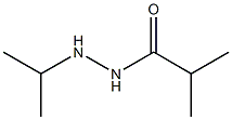 N'-Isopropylisobutyric acid hydrazide Structure