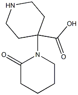 2-Oxo-1,4'-bipiperidine-4'-carboxylic acid Structure