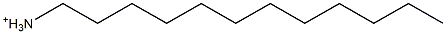 Dodecylaminium Structure