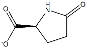 (2S)-5-オキソピロリジン-2-カルボン酸アニオン 化学構造式
