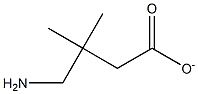 4-Aminio-3,3-dimethylbutyric acid anion Struktur