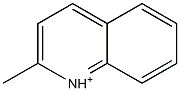 2-Methylquinolinium|