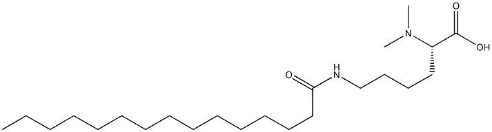 N6-Pentadecanoyl-N2,N2-dimethyllysine 结构式