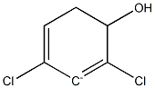 2,4-Dichlorophenol anion Structure