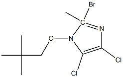 2-Bromo-4,5-dichloro 1-(2,2-dimethylpropoxy)methyl-1H-imidazole Struktur