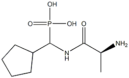 [(L-Alanylamino)(cyclopentyl)methyl]phosphonic acid 结构式