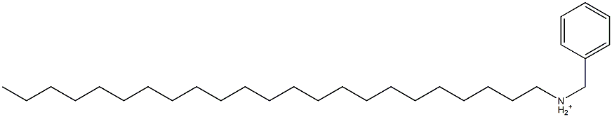 Triicosylbenzylaminium Structure