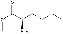 (R)-2-アミノヘキサン酸メチル 化学構造式