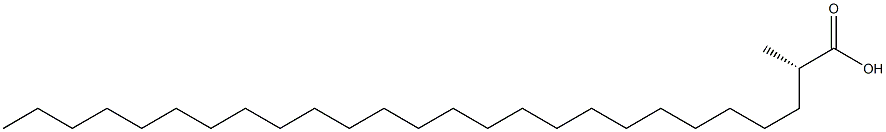 [S,(+)]-2-Methylhexacosanoic acid Structure