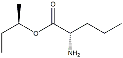(R)-2-Aminopentanoic acid (S)-1-methylpropyl ester|