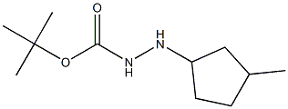 TERT-BUTYL 2-(3-METHYLCYCLOPENTYL)HYDRAZINECARBOXYLATE 化学構造式