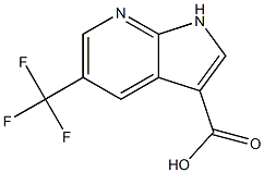 5-(Trifluoromethyl)-1H-pyrrolo[2,3-b]pyridine-3-carboxylic acid