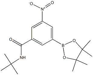 N-tert-butyl-3-nitro-5-(4,4,5,5-tetramethyl-1,3,2-dioxaborolan-2-yl)benzamide Structure