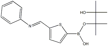 5-[(苯亚氨基)甲基]-2-噻吩基硼酸频那醇酯