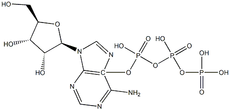L-Adenosine 5-triphosphate 化学構造式