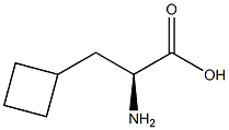 3-cyclobutyl-alanine -D- 化学構造式