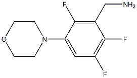 (2,3,6-trifluoro-5-morpholinophenyl)methanamine 结构式