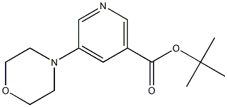 5-Morpholin-4-yl-nicotinic acid tert-butyl ester Struktur