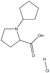 1-cyclopentylpyrrolidine-2-carboxylic acid hydrochloride Structure