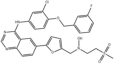 Lapatinib