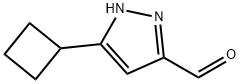 1H-Pyrazole-3-carboxaldehyde, 5-cyclobutyl- Struktur