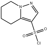 Pyrazolo[1,5-a]pyridine-3-sulfonyl chloride, 4,5,6,7-tetrahydro- 结构式