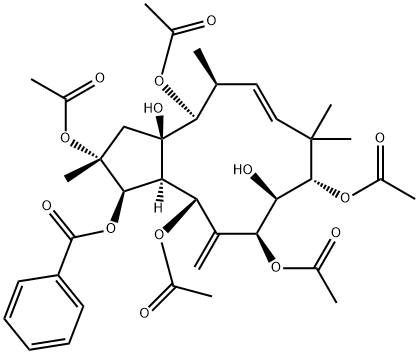 Jatrophane 6 Struktur
