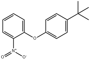 Benzene, 1-[4-(1,1-dimethylethyl)phenoxy]-2-nitro- Struktur