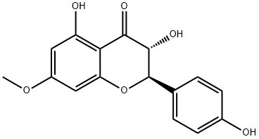 AROMADENDRIN 7-O-METHYL ETHER 结构式