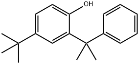 Phenol, 4-(1,1-dimethylethyl)-2-(1-methyl-1-phenylethyl)- 化学構造式