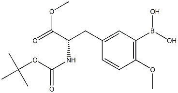 BOC--L-酪氨酸(3-二羟硼基,甲醚)甲酯,606139-97-3,结构式