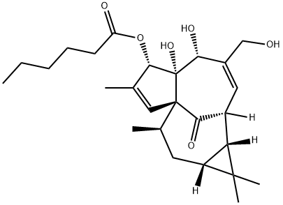 INGENOL-3-HEXANOATE Struktur