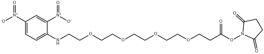 DNP-PEG4-NHS ester