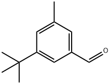Benzaldehyde, 3-(1,1-dimethylethyl)-5-methyl- 化学構造式