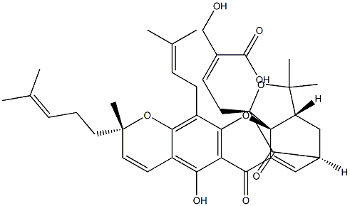 30-ヒドロキシガンボグ酸 化学構造式