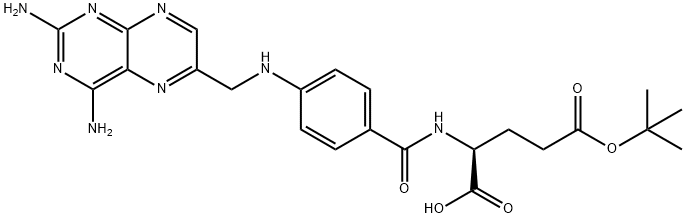gamma-tert-butyl aminopterin|