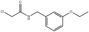 2-Chloro-N-[(3-ethoxyphenyl)methyl]acetamide Struktur
