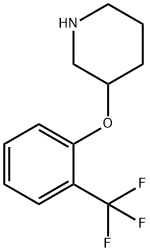 3-[2-(trifluoromethyl)phenoxy]piperidine|3-[2-(trifluoromethyl)phenoxy]piperidine