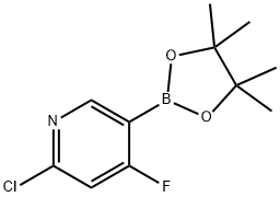 2-氯-4-氟吡啶-5-硼酸频哪醇酯, 1256359-04-2, 结构式