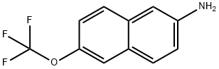 2-Naphthalenamine, 6-(trifluoromethoxy)-|