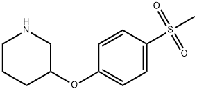 3-(4-methanesulfonylphenoxy)piperidine,1284608-15-6,结构式