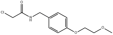 2-chloro-N-{[4-(2-methoxyethoxy)phenyl]methyl}acetamide Structure