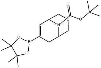 3-oxo-8-tbutylcarbonyldicyclo-2-decane-7-boronic ester Struktur