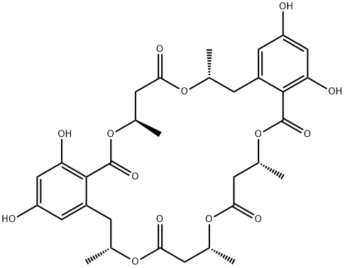 BK223 C Structure