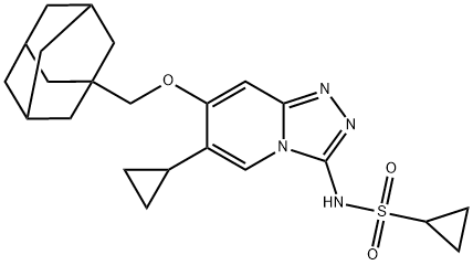 gne-131 Structure
