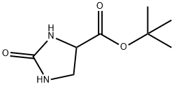 tert-butyl 2-oxoimidazolidine-4-carboxylate Struktur