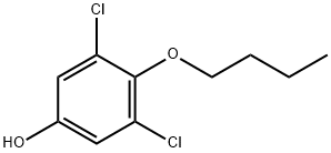 4-butoxy-3,5-dichlorophenol|4-丁氧基-3,5-二氯苯酚