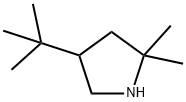 Pyrrolidine, 4-(1,1-dimethylethyl)-2,2-dimethyl- Structure