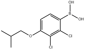 2,3-Dichloro-4-isobutoxyphenylboronic acid 化学構造式